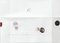 Harald Kroner, Snow 24, 2016, Impresión perforada, Laca, Corteza y lámina de abedul seca, Tinta, Collage & Folding, Enmarcado, Imagen 1