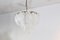 Chandelier with Frosted Glass Leaves 6