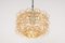 Large Amber Bubble Glass Pendant by Helena Tynell for Limburg, Germany, 1970s, Image 3