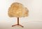 Lampe de Bureau Storm par Johannes Hemann 1