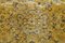 Tappeto piccolo Oushak in lana fatto a mano con motivo floreale giallo, Immagine 8
