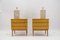 Mid-Century Modern Brass and Wood Nightstands, 1950s, Set of 2 7