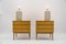 Mid-Century Modern Brass and Wood Nightstands, 1950s, Set of 2 5