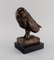 Bronze Owl Sculpture 2