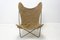 Sculptural Butterfly Chair by Jorge Ferrari-Hardoy 10