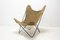Sculptural Butterfly Chair by Jorge Ferrari-Hardoy, Image 2