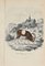Paul Gervais, Mouflon Musmon, Original Lithograph, 1854 1