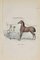 Paul Gervais, Limousin Horse, Litografia originale, 1854, Immagine 1