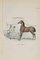 Paul Gervais, Limousin Horse, Original Lithographie, 1854 1