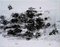 Amanda Ludovisi, Grey Life, Original Painting, 2020s 1