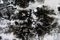 Amanda Ludovisi, Grey Life, Original Painting, 2020s 2