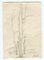 Mino Maccari, The Trees, Original Drawing, Mid, 20th-Century 1