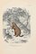 Paul Gervais, Marmotte de Québec, Lithographie Originale, 1854 1