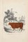 Paul Gervais, The Cow, Litografía original, 1854, Imagen 1