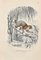 Paul Gervais, Potto, Litografía original, 1854, Imagen 1