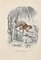 Paul Gervais, Potto, Original Lithographie, 1854 1