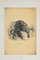 Paul Gervais, The Tiger, Litografía original, 1854, Imagen 1