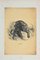 Paul Gervais, The Tiger, Original Lithograph, 1854 1