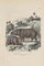 Paul Gervais, Jeune Hippopotame, Lithographie Originale, 1854 1