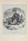 Paul Gervais, The Lion, Jaguar, Tiger, Lithograph, 1854 1