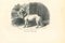 Paul Gervais, The Bulldog, 1854, Litografía, Imagen 1