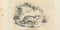 Litografia Paul Gervais, Criceto, 1854, Immagine 1