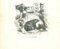 Litografia Paul Gervais, The Bear, 1854, Immagine 1