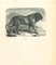 Paul Gervais, The Dog, Litografía, 1854, Imagen 1