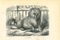 Litografia Paul Gervais, The Dog, 1854, Immagine 1