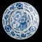 Blue and White Plate from Delft 4