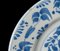 Blue and White Plate from Delft 7
