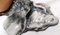 Handbemalter und lackierter Keramik Vogel von Piero Cedraschi, Italien 13