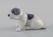 Porzellanfigur Pointer Puppy von Royal Copenhagen, Frühes 20. Jh 2