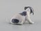 Porcelain Figurine Pointer Puppy from Royal Copenhagen, Early 20th Century 4