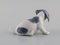 Porzellanfigur Pointer Puppy von Royal Copenhagen, Frühes 20. Jh 4