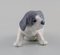 Porcelain Figurine Pointer Puppy from Royal Copenhagen, Early 20th Century 3