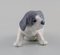 Porzellanfigur Pointer Puppy von Royal Copenhagen, Frühes 20. Jh 3