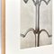 Karl Blossfeldt, Black & White Flowers, Photogravure, Set of 6 14