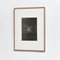 Karl Blossfeldt, Black & White Flowers, Photogravure, Set of 6, Image 10