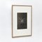 Karl Blossfeldt, Black & White Flowers, Photogravure, Set of 6 11