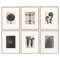 Karl Blossfeldt, Black & White Flowers, Photogravure, 6er Set 1