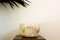 Vaso in pietra porosa bianca, Italia, Immagine 3