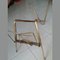 Magazine Rack Table by Cesare Lacca, 1960s, Image 5