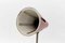 Desk Lamp by Busquet for Hala, Holland, 1960s, Image 13