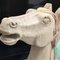 Carved Wooden Horse Head 8