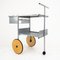 Ladder Trolley from Bpa Intenational, Italy 1