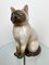 Vintage Italian Ceramic Siamese Cat Sculpture by Piero Fornasetti, 1960s 4