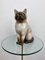 Vintage Italian Ceramic Siamese Cat Sculpture by Piero Fornasetti, 1960s 3