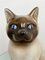 Vintage Italian Ceramic Siamese Cat Sculpture by Piero Fornasetti, 1960s, Image 8