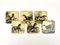 Lacquered Wood Horse Coasters, Italy, 1950s, Set of 6 10